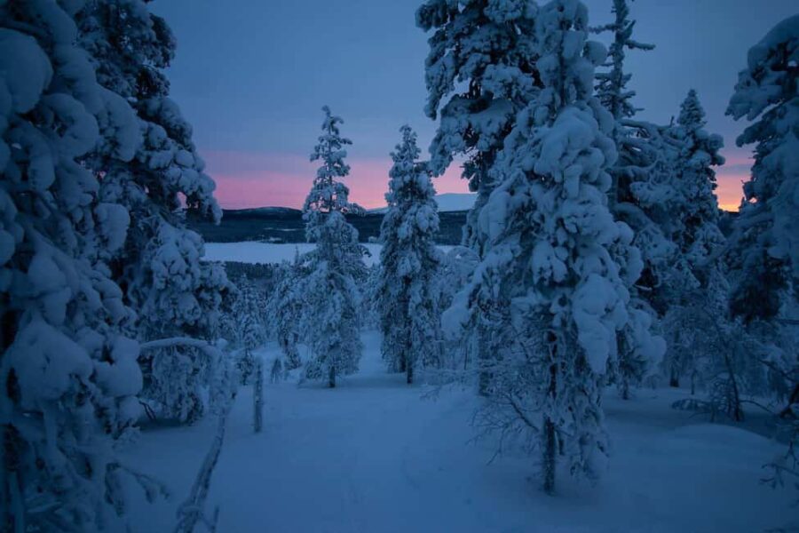 Ylläs: Guided Nordic Skiing Tour in Lapland Wilderness - The Itinerary and Trail Highlights