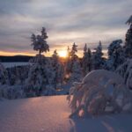 Ylläs: Guided Snowshoeing Adventure to Kesänki Fell - Snowshoeing Trek through Arctic Forests