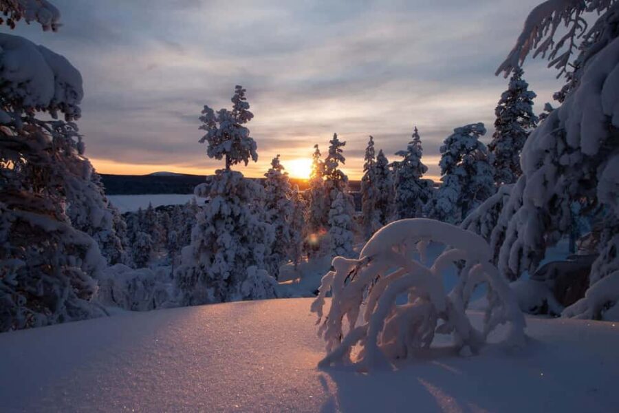 Ylläs: Guided Snowshoeing Adventure to Kesänki Fell - Snowshoeing Trek through Arctic Forests