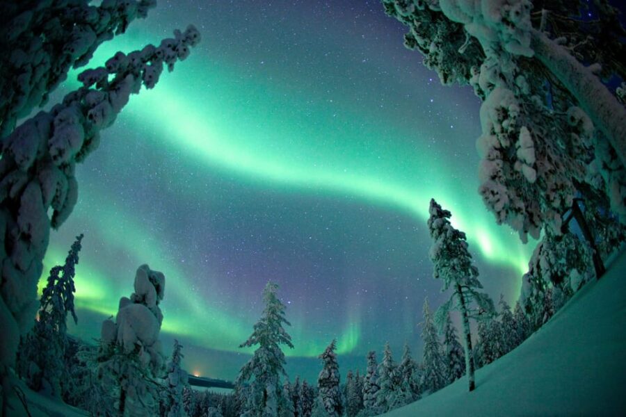 Ylläs: Seeking Northern Lights Photo Tour - How the Tour Moves Through Laplands Snowy Wilderness