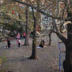 Yoga classes - Location and Schedule of Ohrid Yoga Classes