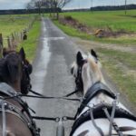York: Horse Drawn Carriage ride & Cream Tea - Scenic Journey Through North Yorkshire’s Private Woodlands and Countryside