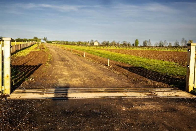 Yorkshire: Loversall Vineyard Wine Tasting and Tour - Visiting Loversall Vineyard: The Family-Run Charm