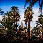 Your First day in Sevilla. - Crossing into Triana: The Vibrant Neighborhood and Local Market