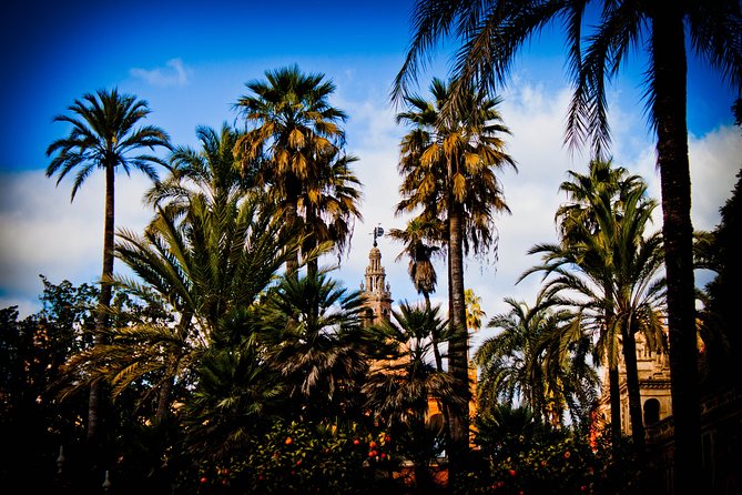 Your First day in Sevilla. - Crossing into Triana: The Vibrant Neighborhood and Local Market