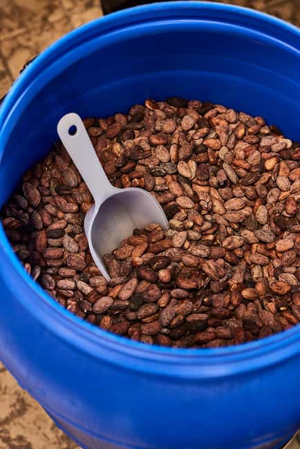 Zaandijk-Near Zaanse Schans Chocolate making demo & tasting - What You Can Expect from the Chocolate Making Demo