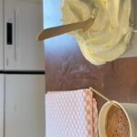 Zaanse Schans - The Walk to Zaanse Schans and Arrival Experience