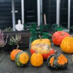 Zaanse Schans and Giethoorn Small-Group Tour with Hotel Pick-Up - Visit Zaanse Schans: The Windmill Village and Traditional Crafts