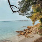 Zadar: 3 Island Speedboat Tour & Blue Bay Swim with Drinks - Exploring the Hidden Bay for Swimming and Snorkeling