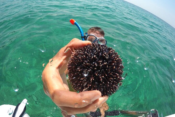 Zadar 3-Islands Tour: Snorkeling, Beach & Sightseeing - 4,5hr - Exploring Zadar’s Archipelago from the Harbour