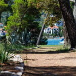 Zadar: Boat Tour to the Ugljan, Preko, and Oljak Islands - The Starting Point: Zadar Foa Port