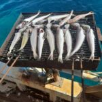 Zadar: Fishing Boat Trip with Lunch and Swimming Included - Setting Sail from Zadar on a Traditional Fishing Boat