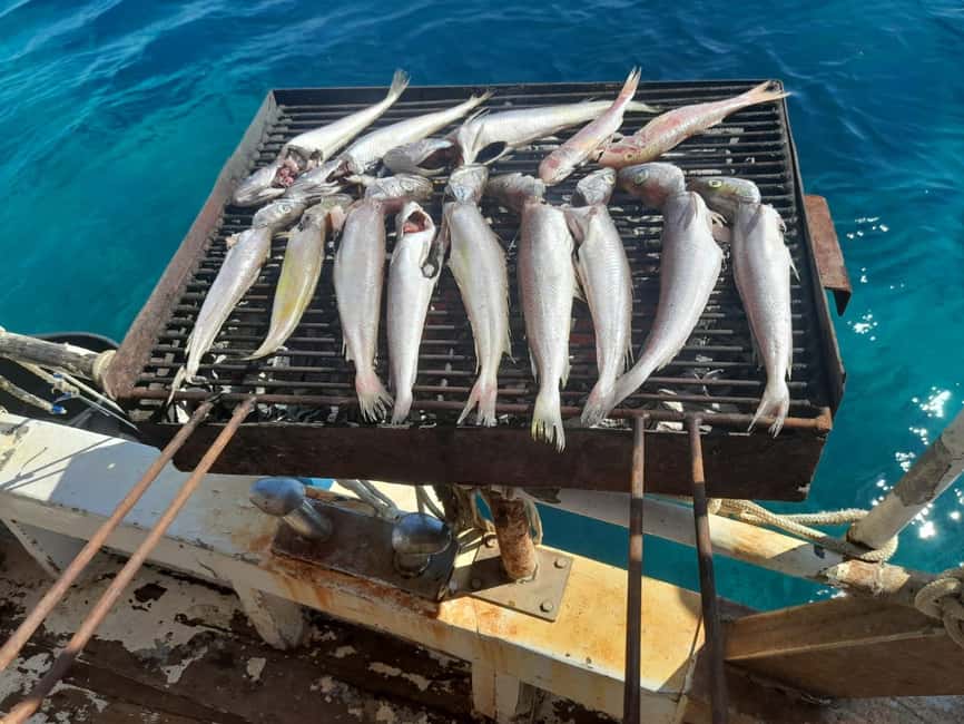 Zadar: Fishing Boat Trip with Lunch and Swimming Included - Setting Sail from Zadar on a Traditional Fishing Boat
