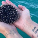 Zadar Half Day boat tour Wine on the Waves - Sails from Zadar to Otok Galevac with Spectacular Coastal Views