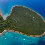 Zadar: Half Day Speedboat Adventure - From Zadar to Ugljan: Discover Olive Island’s Charm
