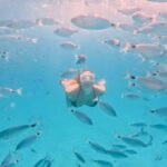 Zadar: Island Luxury Speedboat Tour with Snorkeling - Exploring Oljak: Beaches, Photography, and Snorkeling