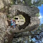 Zadar: Original Island-Hopping Speedboat Tour with Drinks - The Flexibility of the Itinerary