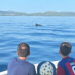 Zadar: Relaxing island getaway by speedboat with wine& fruit - From the Meeting Point to the Hidden Bays of Zadar