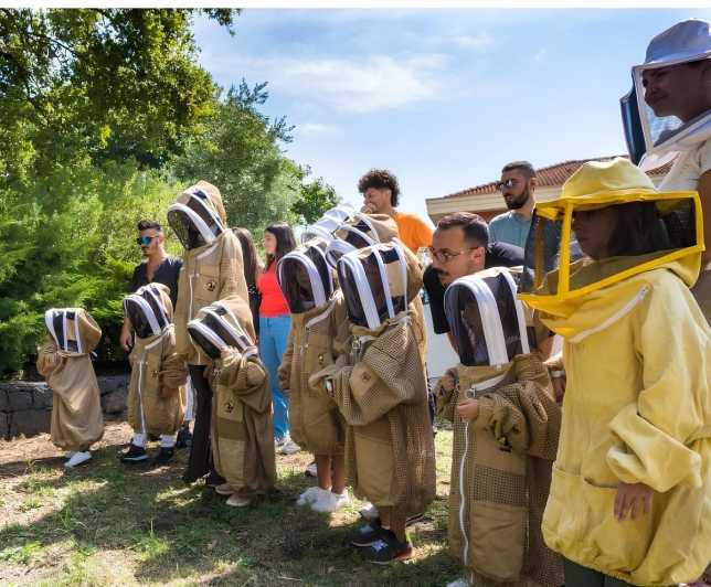 Zafferana Etnea:Honey extraction workshop and honey tasting - The Workshop: Honey Extraction in Action