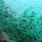 Zagreb airport or Zagreb to Split via Plitvice lakes for singles or couples - Pickup and Transportation in a Hybrid Toyota C-HR