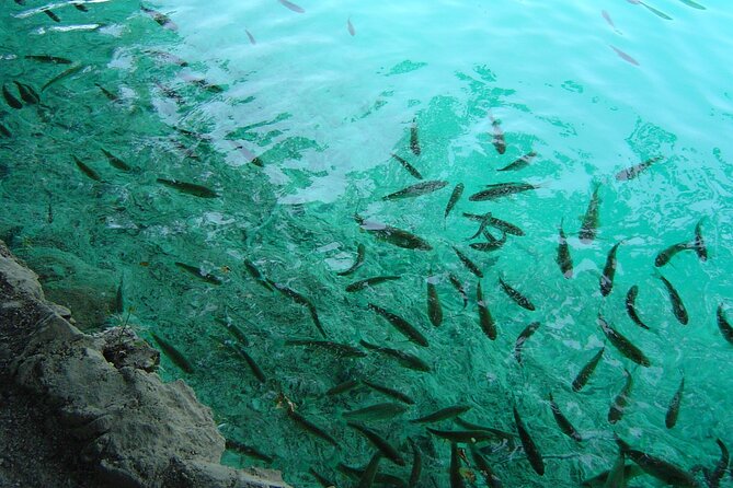 Zagreb airport or Zagreb to Split via Plitvice lakes for singles or couples - Pickup and Transportation in a Hybrid Toyota C-HR