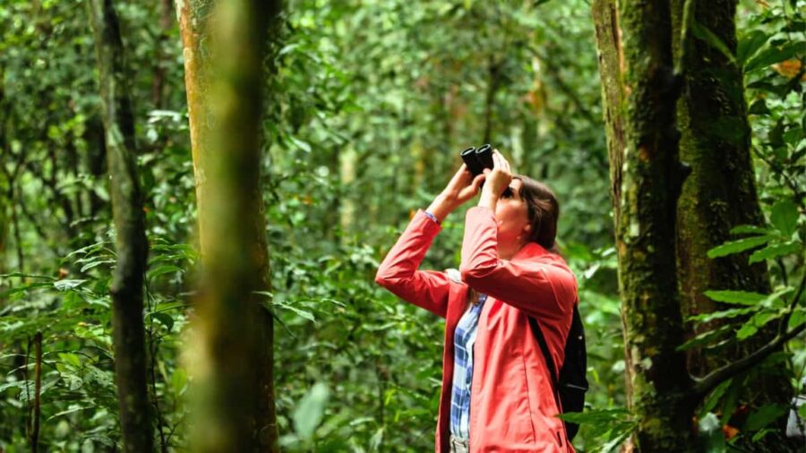 Zagreb: Science Tours, Zagreat Outdoors - The Unique Birdwatching Experience in Maksimir