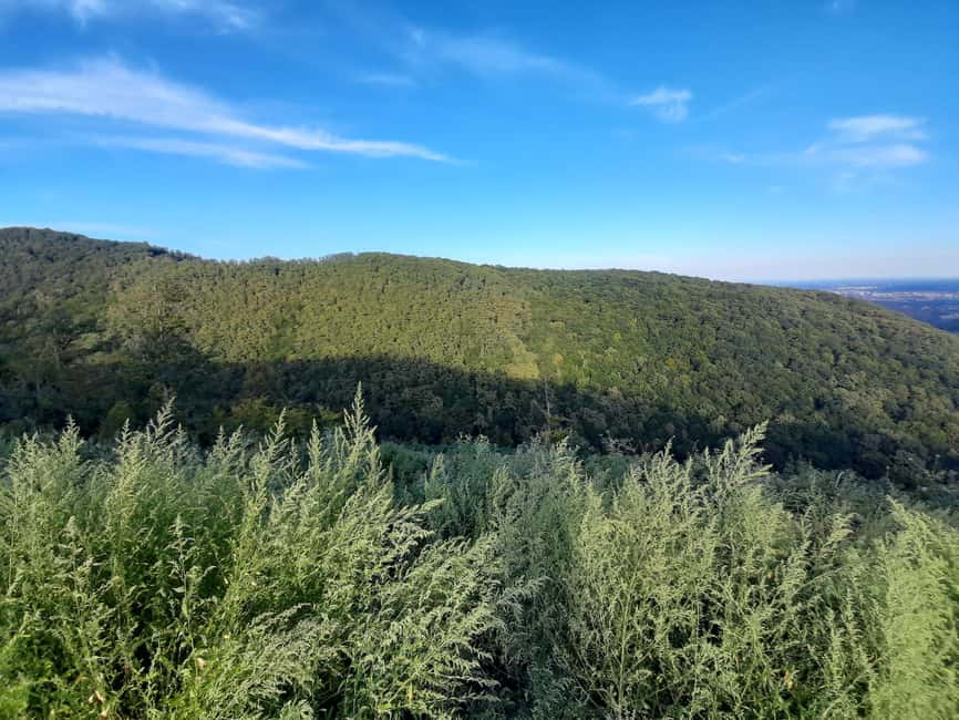 Zagreb through plants: an urban and botanical walk - From the Old Town to Zagreb’s Green Spaces
