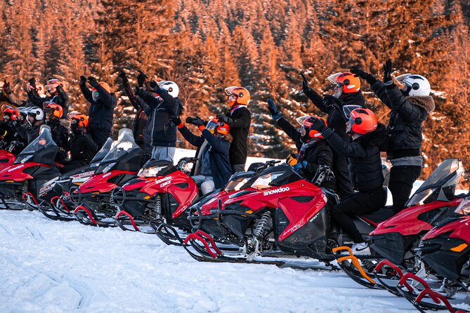 Zakopane: 3 hours Snowmobiles Guided Tour with bonfire and meal - Riding a Snowmobile in the Gubaówka Trail