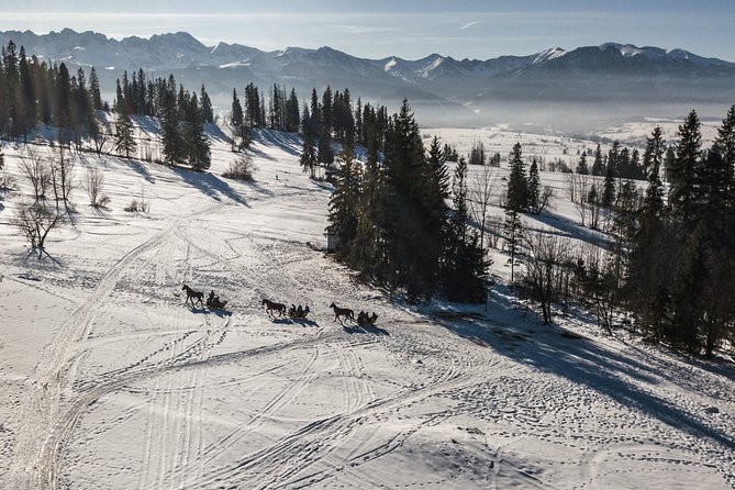 Zakopane and Horse Sleigh Ride in the countryside, private tour from Krakow - Exploring Zakopane’s Iconic Mountain Town