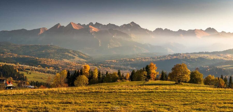 Zakopane: Buggy OffRoad Adventure, Mountain Views & Bonfire - Enjoying a Cozy Bonfire with Regional Snacks and Hot Mountain Cuisine