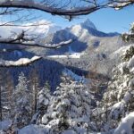 Zakopane - The Winter Wonderland - Private Tour from Krakow - Exploring Zakopane’s Charming Town Center