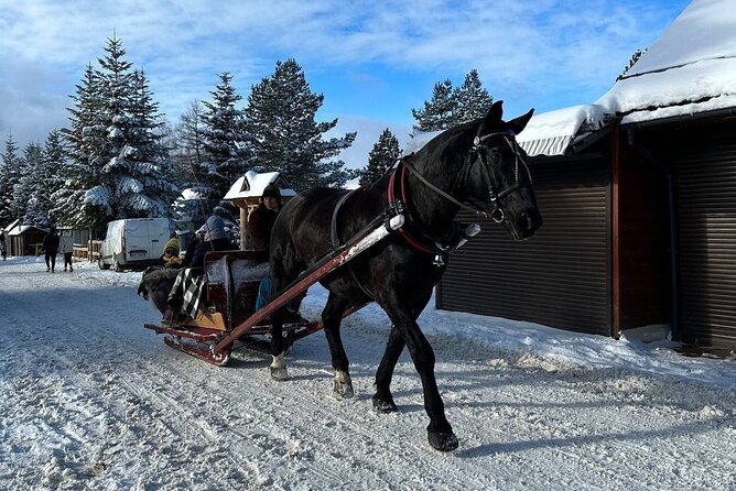 Zakopane Tour from Krakow with Thermal SPA and Hotel Pick up - Convenient Hotel Pickup and Transfers