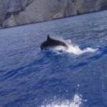 Zakynthos: early morning Shipwreck,Blue Caves and view point - From the Pickup to the First Scenic Drive