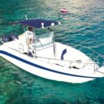 Zakynthos: Guided Boat Tour to Turtle Island with Swimming - The Unique Highlights of Turtle Island (Marathonisi)