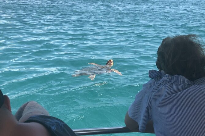 Zakynthos Half Day Tour to the Turtle Island, Cameo & Keri Caves - Relaxing on Marathonisi (Turtle Island)