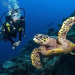 Zakynthos: Scuba Diving Experience with Underwater Photos - Professional Instructors and Personalized Guidance