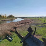 Zasavica Safari Tour - Scenic Boat Ride to Spot Beavers in Their Habitat