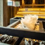 Zell am See: Tauern SPA Day Ticket for Water World - The Extensive Pool Offerings at Tauern SPA