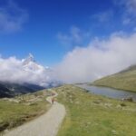 Zermatt: Full-Day Guided Hike - Exploring the Gornergrat Nature Reserve and Mountain Flora