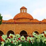 znik and Yalova Day Tour from Istanbul with Lunch - Convenient Pick-up and Transport from Istanbul