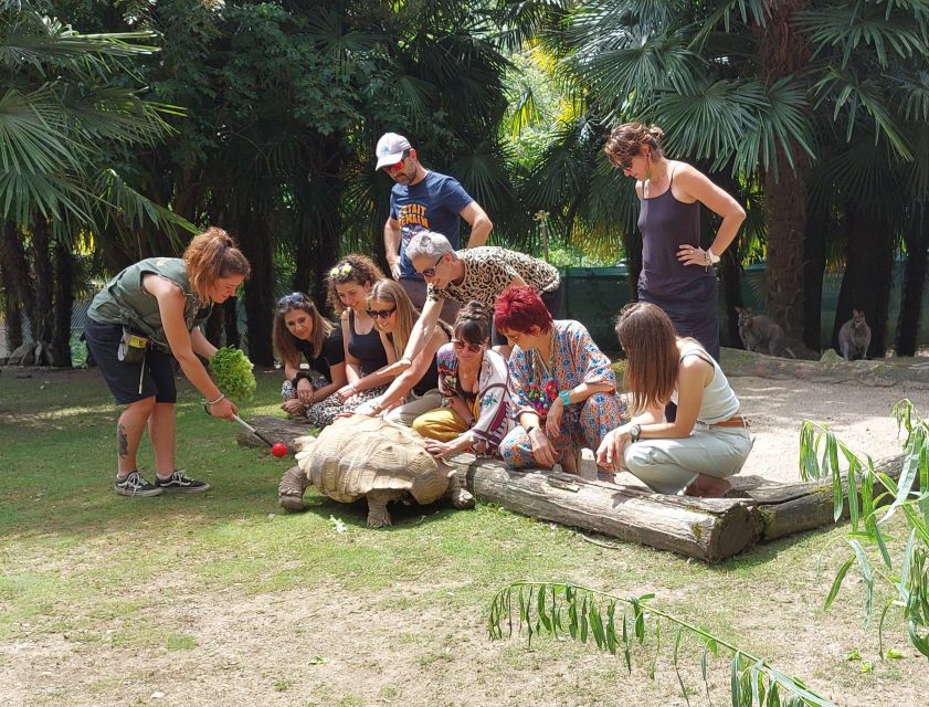 Zoo al Maglio: 1-Day Ticket for the Jungle of Ticino - The Location and How to Get There