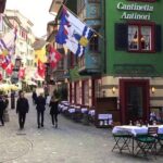 Zurich and Surroundings PRIVATE TOUR Including Panoramic Views - Personalized Tour Focus and Flexibility