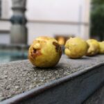 Zürich Historic District Tour - Exploring Zurich’s Top Viewpoints and Landmarks