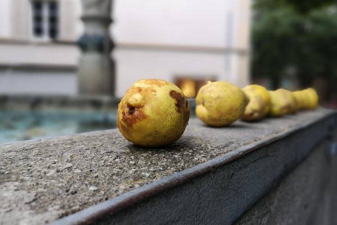 Zürich Historic District Tour - Exploring Zurich’s Top Viewpoints and Landmarks