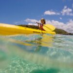 1/2 Circle Island & North Shore Fun with The Surf Bus - Multiple Options at North Shore Beaches