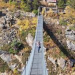 1/2 Day Yukon and Suspension Bridge Adventure - Scenic Drive Along the Klondike Highway to White Pass