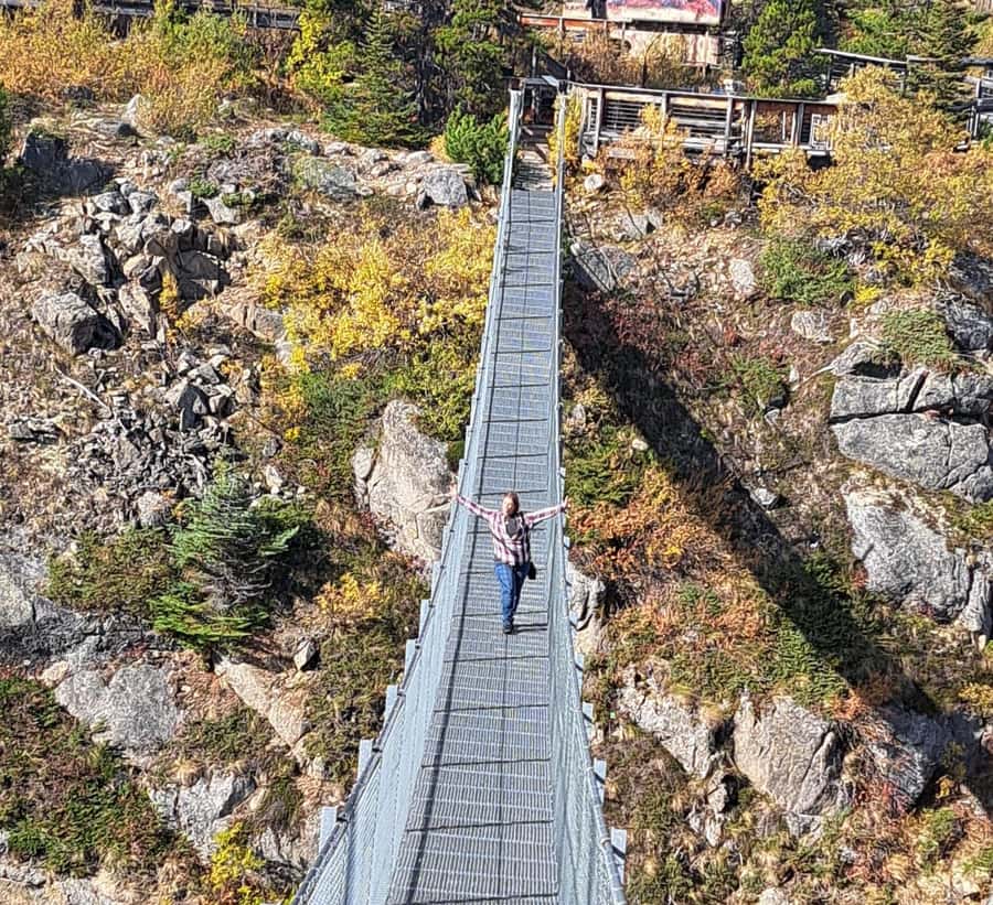 1/2 Day Yukon and Suspension Bridge Adventure - Scenic Drive Along the Klondike Highway to White Pass