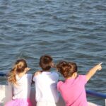 1.5-Hour Charleston Harbor Cruise with Live Narration - The Experience Starts on a Comfortable, Stable Boat