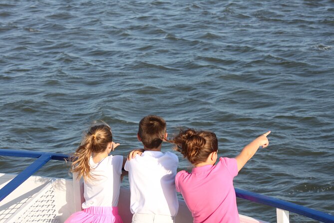 1.5-Hour Charleston Harbor Cruise with Live Narration - The Experience Starts on a Comfortable, Stable Boat