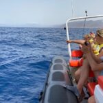 1.5-Hour Dolphin and Whale Watching Tour - The Zodiac Boat: Speed, Comfort, and Adventure